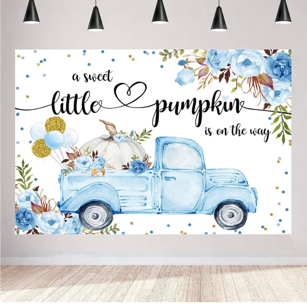 Sweet little pumpkin backdrop